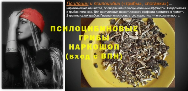 PSILOCYBIN Арсеньев
