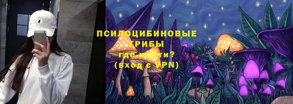PSILOCYBIN Арсеньев
